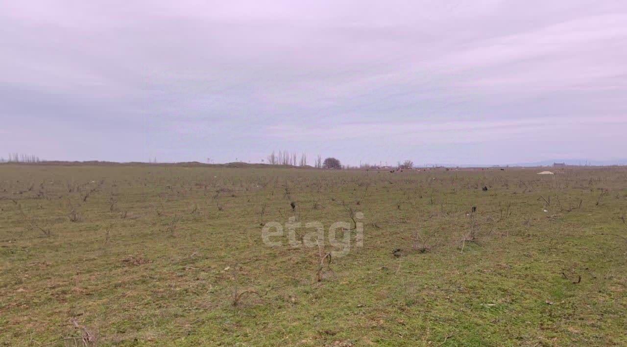 земля г Каспийск снт Рассвет Кумторкалинский район фото 1