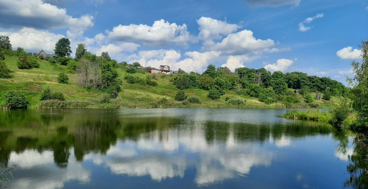 дом г Бор мкр Красногорка Кстово, г. о. Нижний Новгород фото 3