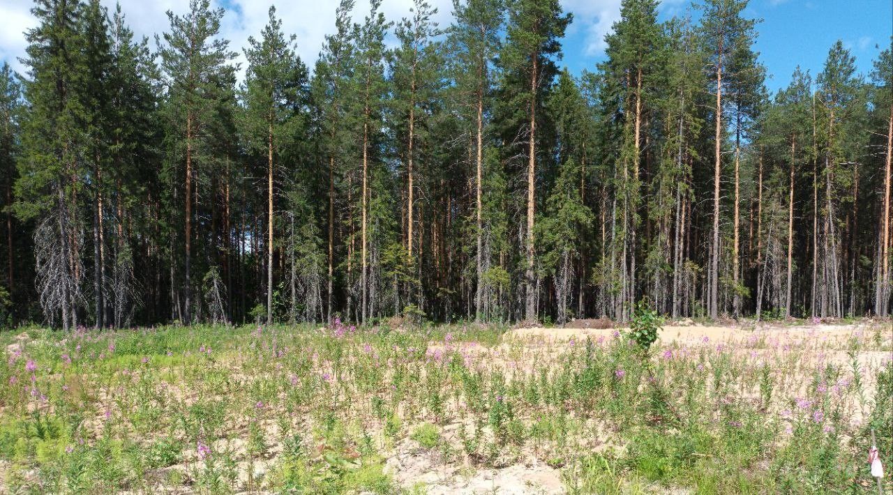 земля г Сыктывкар пгт Краснозатонский ул Вишнёвая фото 2