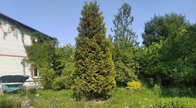 линия 12-я Виллозское городское поселение, Красногорское СНТ, Проспект Ветеранов фото