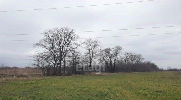 земля р-н Ейский г Ейск фото 1