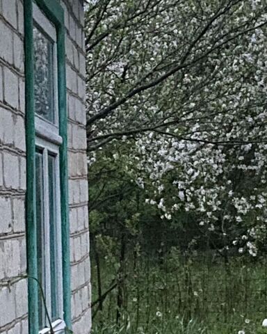 снт Дружба фото