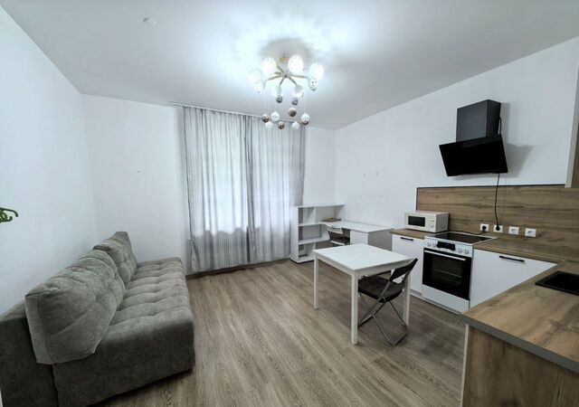 ул Центральная 50к/1 Улица Дыбенко, Заневское городское поселение фото