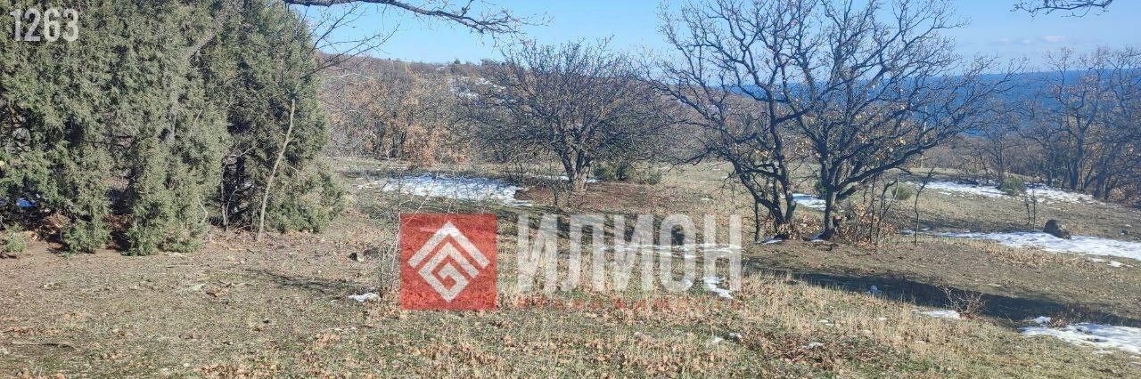 земля г Алушта с Приветное р-н курорт Канака ул Курортная фото 3