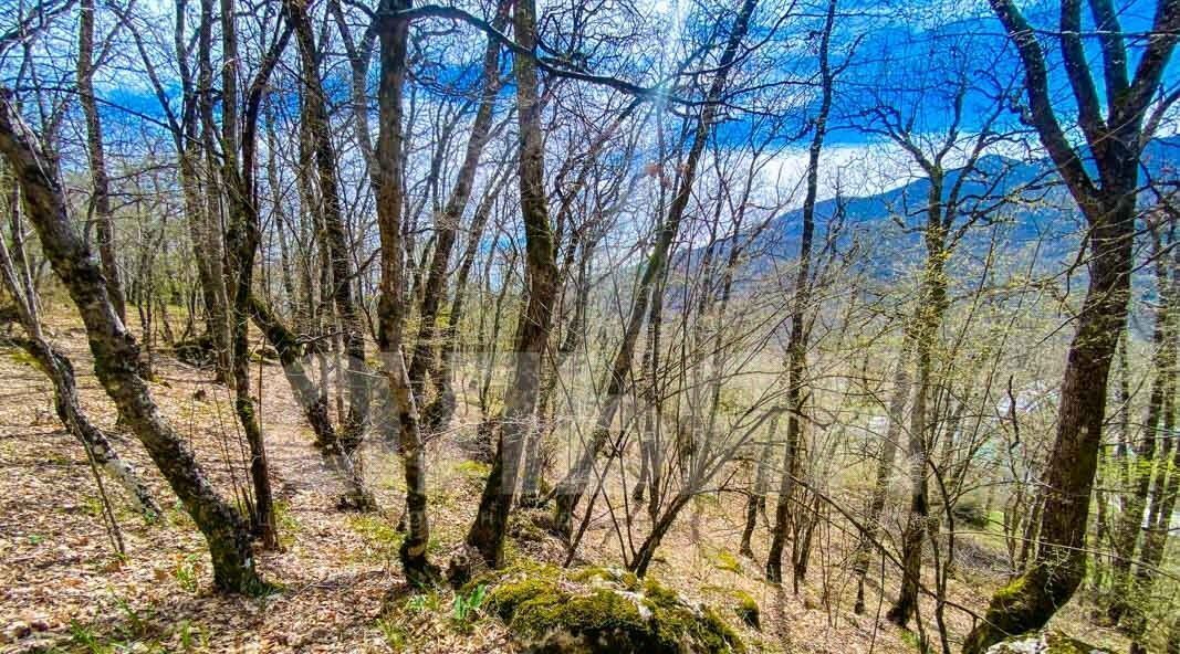 земля г Алушта п Розовый ул Мирная фото 6