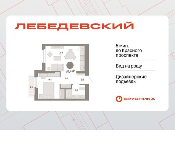 квартира Заельцовская квартал № 5 ЖК «Лебедевский» фото