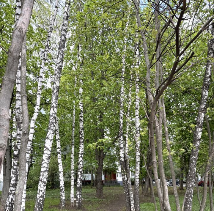 квартира г Москва метро Беляево ул Введенского 12к/2 фото 45
