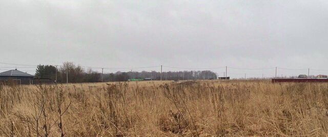 д Тарасково пер Банный фото