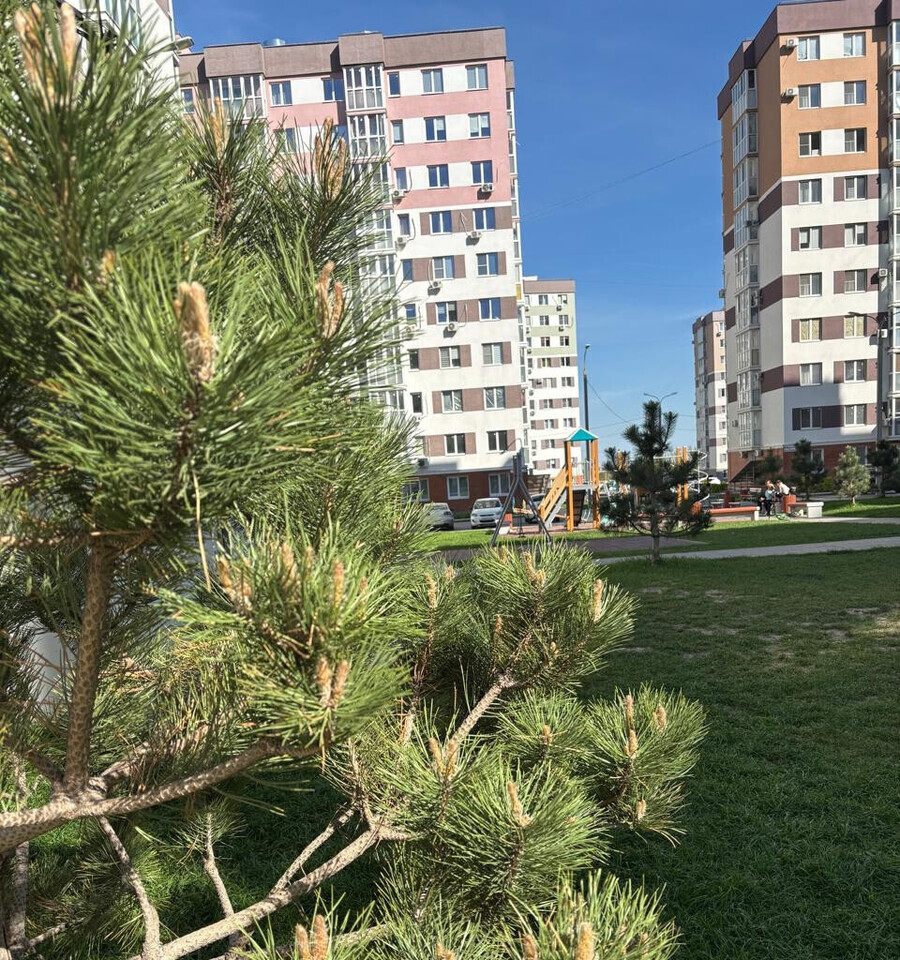 квартира г Волгоград р-н Кировский ул им. Гаря Хохолова 9 ЖК «Парк Европейский» фото 17