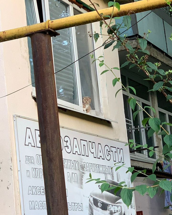 квартира р-н Туапсинский г Туапсе ул Шаумяна 36 Туапсинское городское поселение фото 1