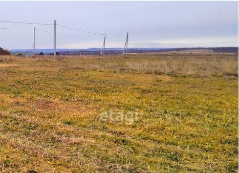 Благовещенск фото