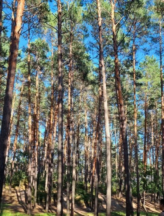 земля г Благовещенск фото 3