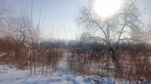 Садовые участки фото