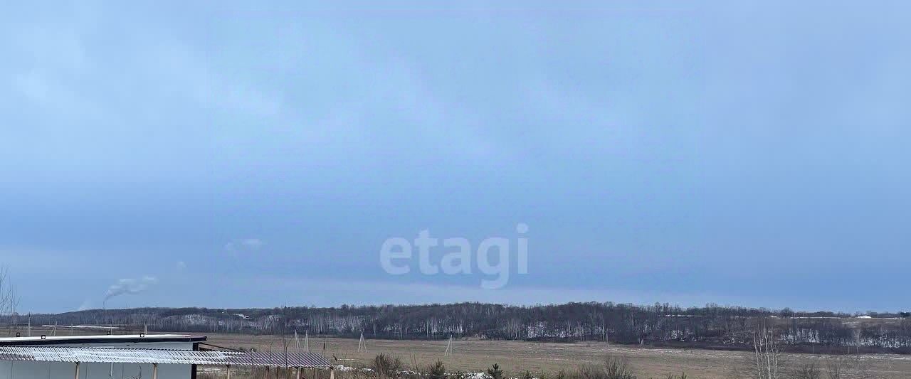 земля г Благовещенск фото 13