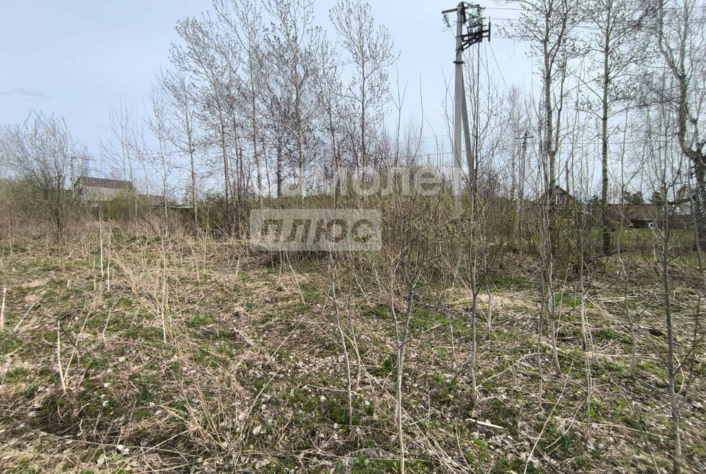 земля г Томск д Киргизка фото 17