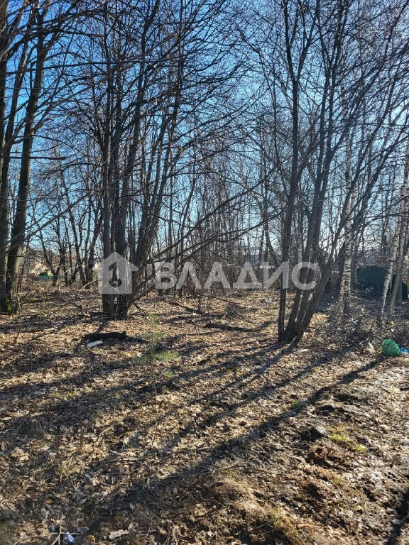 земля г Видное ул Гоголя фото 5