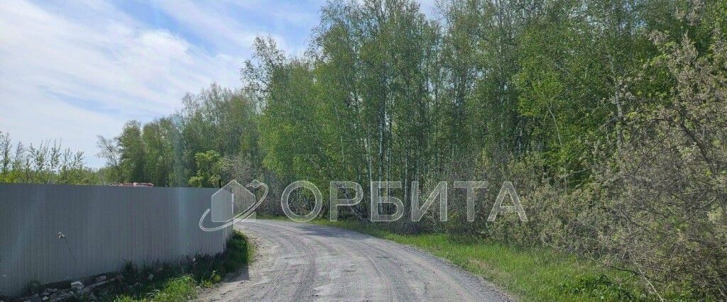 земля г Тюмень р-н Центральный снт Медик ул. Морковная, 87 фото 4