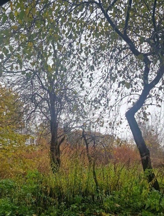 земля г Калининград р-н Центральный ул Джамбула фото 1