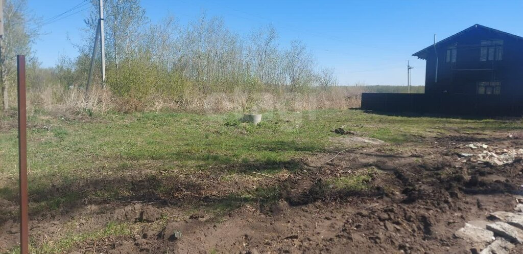 земля г Омск снт Садовод Пушкинское сельское поселение фото 4