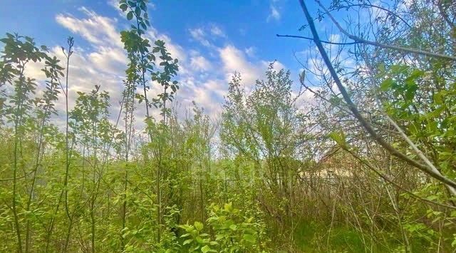земля г Горячий Ключ снт Нефтяник фото 5