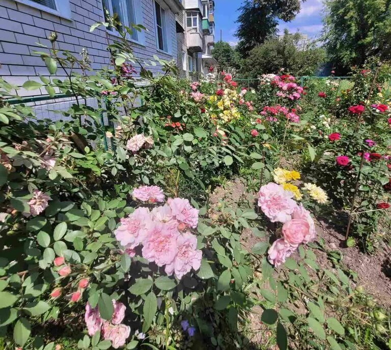 квартира г Муром ул Куйбышева 30 фото 21