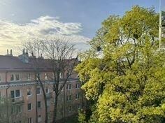 квартира г Калининград р-н Центральный пр-кт Мира 122 фото 17