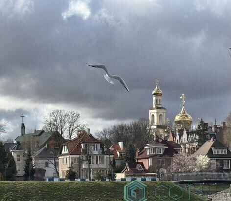 квартира г Калининград р-н Центральный пр-кт Мира 122 фото 25