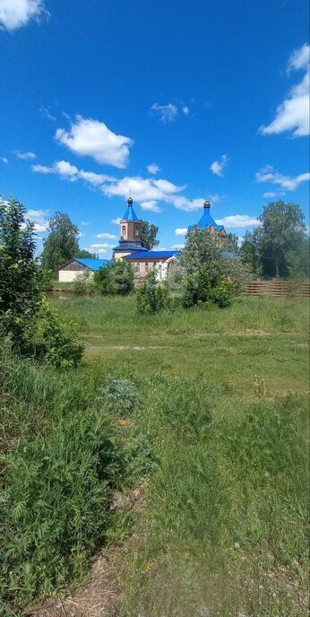 дом г Выкса с Полдеревка ул Школьная фото 6