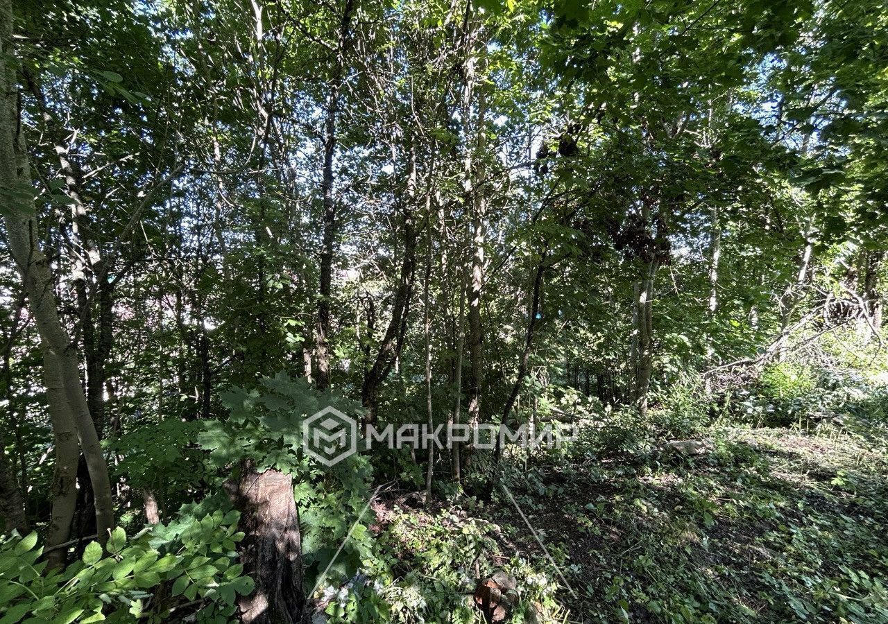 земля г Красное Село Дудергоф ул Большая Горская 3 Гатчинское шоссе, 11 км фото 8