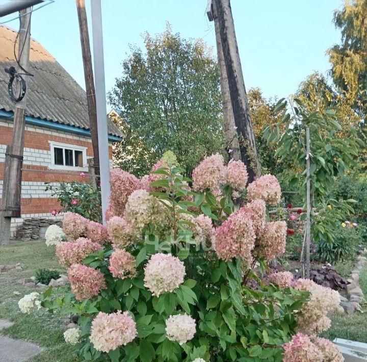 дом р-н Городецкий г Городец ул Механизаторов фото 38