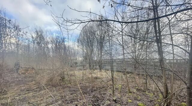 Внуково, 2 фото