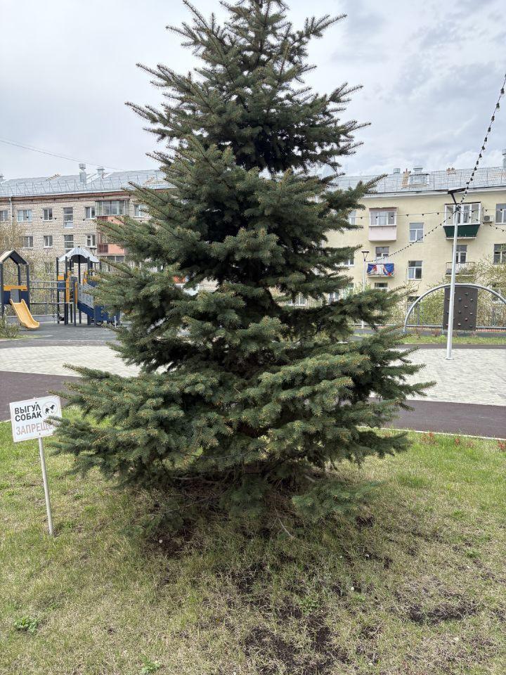 квартира г Екатеринбург р-н Верх-Исетский ул Гурзуфская 11 ЖК «Седьмое небо» фото 18