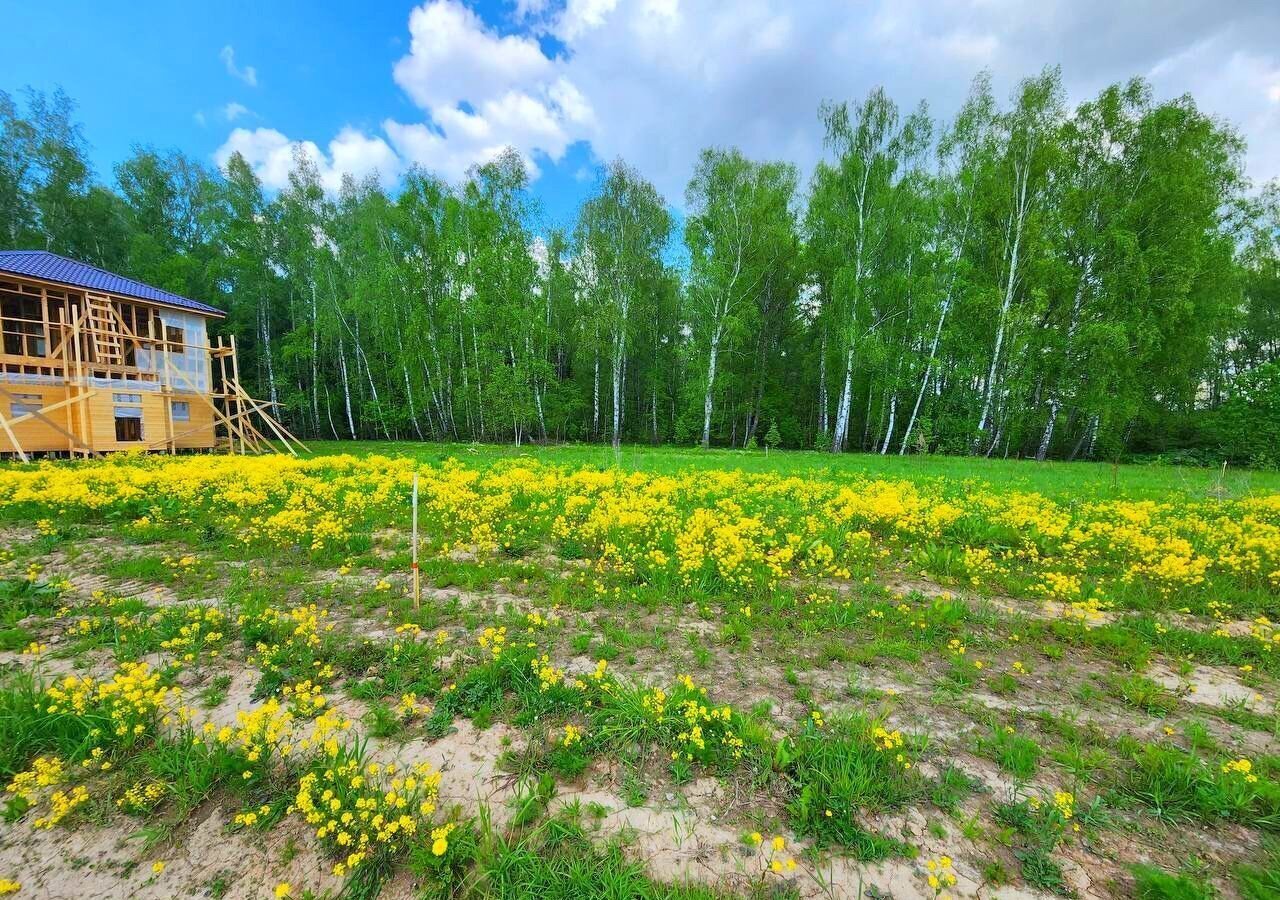 земля г Домодедово п Михнево 45 км, с. Вельяминово, Новокаширское шоссе фото 6