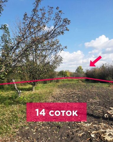 снт Рубин Богданович фото