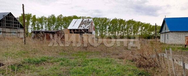 дом 22 Новые Зори фото