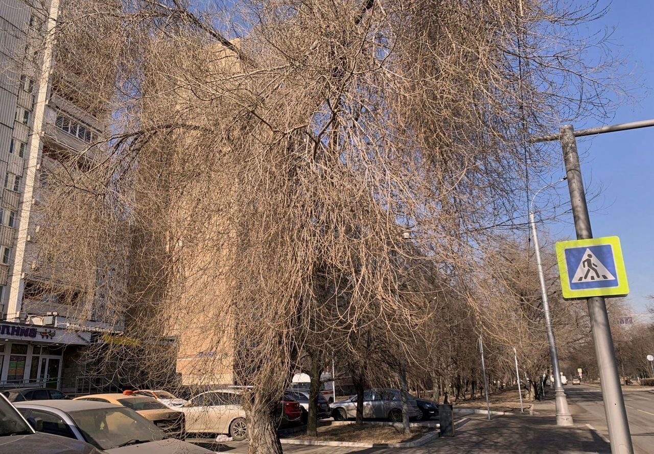квартира г Москва метро Кузьминки ЮЗАО Волжский Бульвар квартал 114А, к 7 фото 11