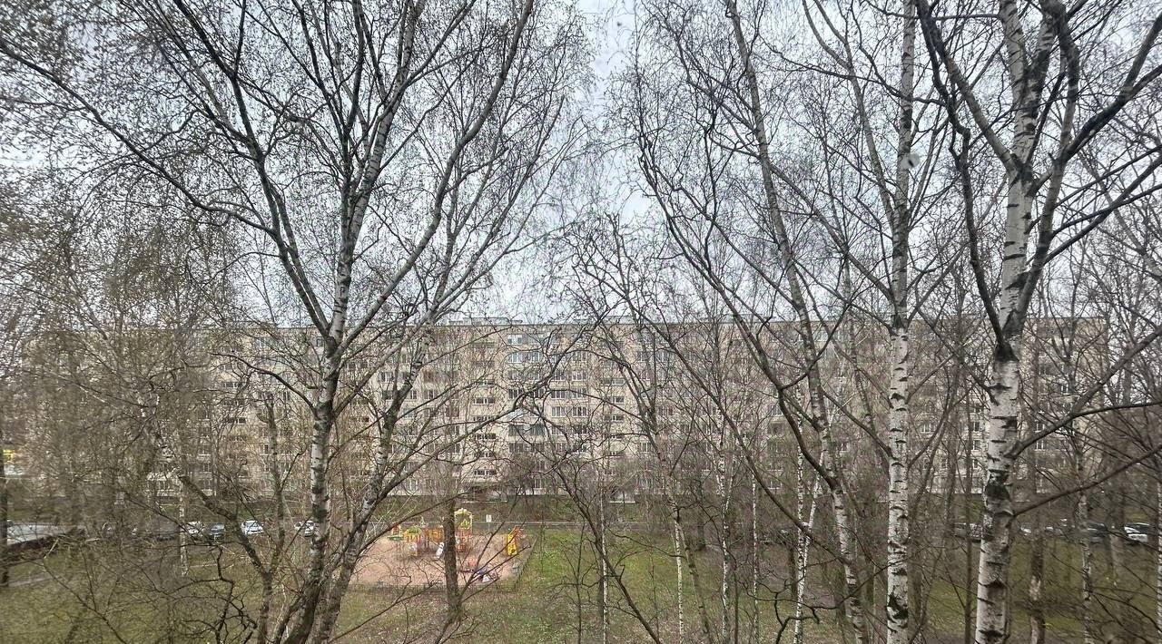 квартира г Санкт-Петербург р-н Фрунзенский ул Белградская 28к/3 округ Купчино фото 24