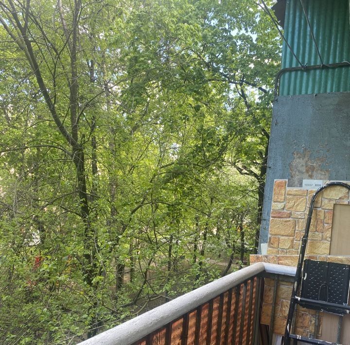 квартира г Москва пр-кт Будённого 24к/2 Шоссе Энтузиастов фото 9