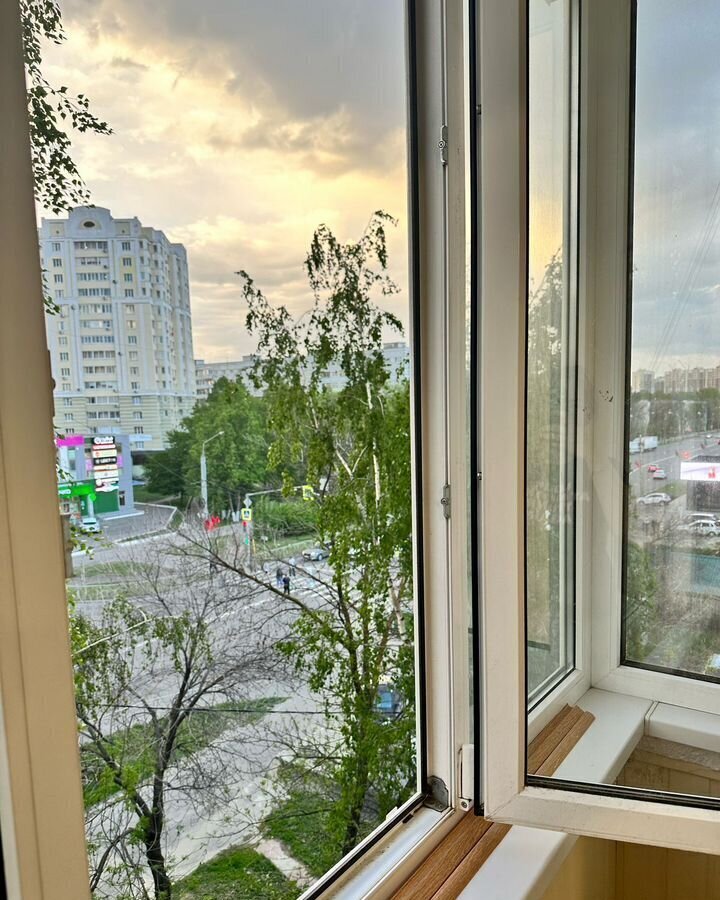квартира г Пенза р-н Ленинский ул Карпинского 22а фото 13