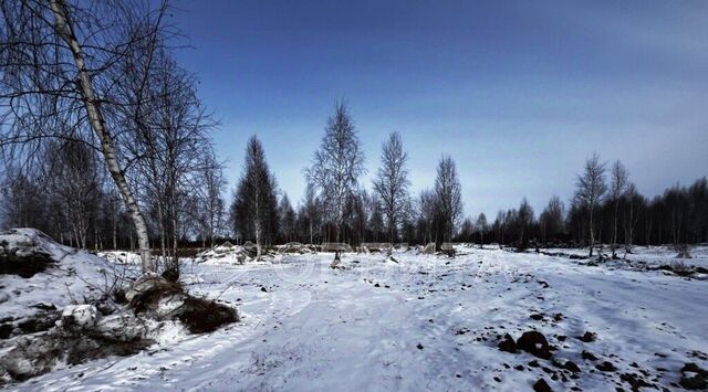 снт Приозерное Тюневское с/пос, ДНТ, ул. Солнечная, Нижнетавдинский район фото