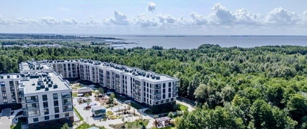 квартира г Сестрорецк ул Инструментальщиков 18 Беговая фото 36