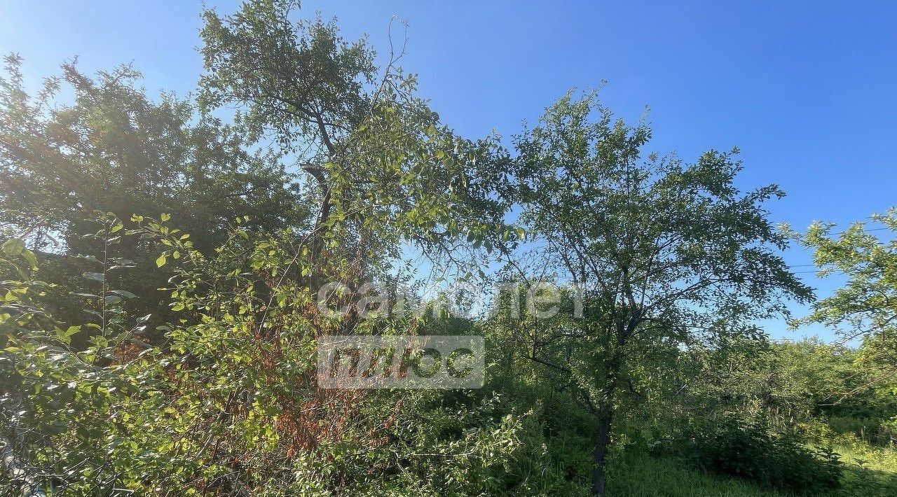 земля г Нижний Новгород Пролетарская Мыза СНТ фото 7