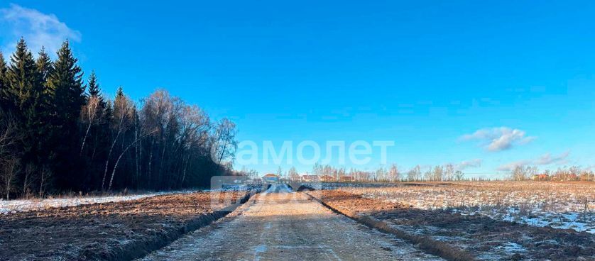 земля г Подольск д Пузиково Подольск фото 6