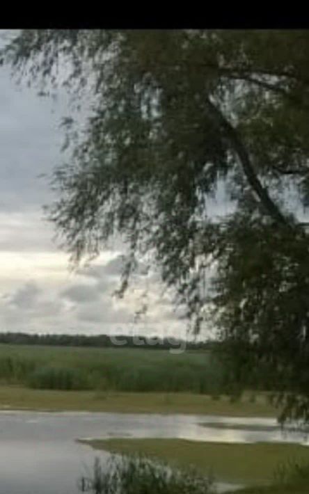 земля г Вольск пер 1-й Меловой муниципального образования город Вольск фото 5