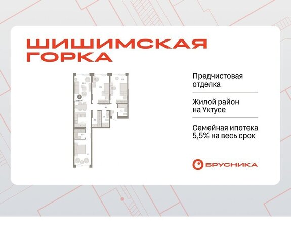 р-н Чкаловский Ботаническая улица Гастелло, 19А фото
