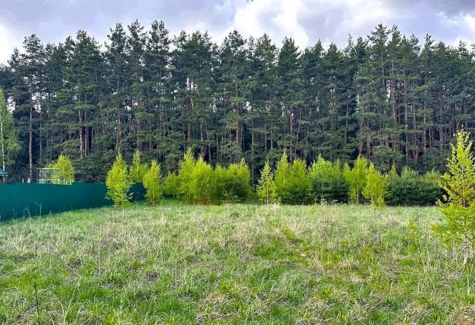 земля г Ступино 58 км, коттеджный пос. Новое Ивановское, Михнево, Новокаширское шоссе фото 3