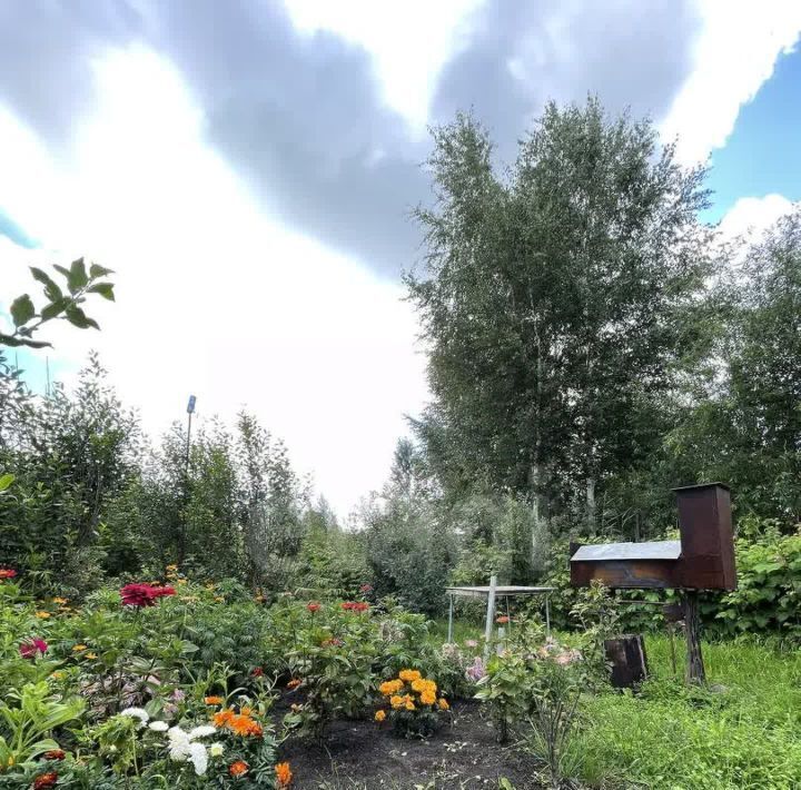 земля г Тюмень р-н Центральный СОСН Березка-3 тер., ул. 1-я фото 10