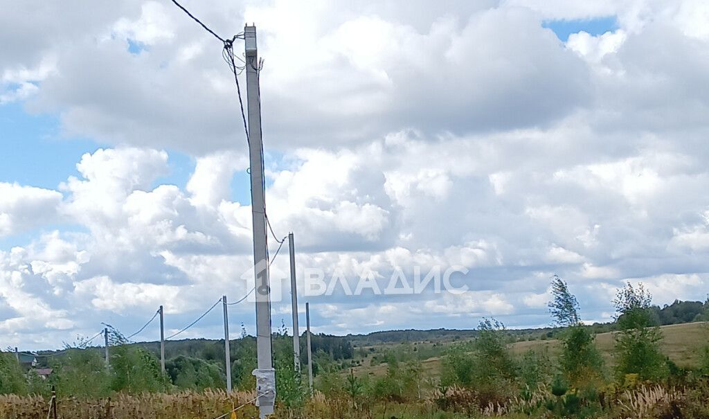 земля г Владимир с Мосино ул Берёзная р-н Ленинский фото 3