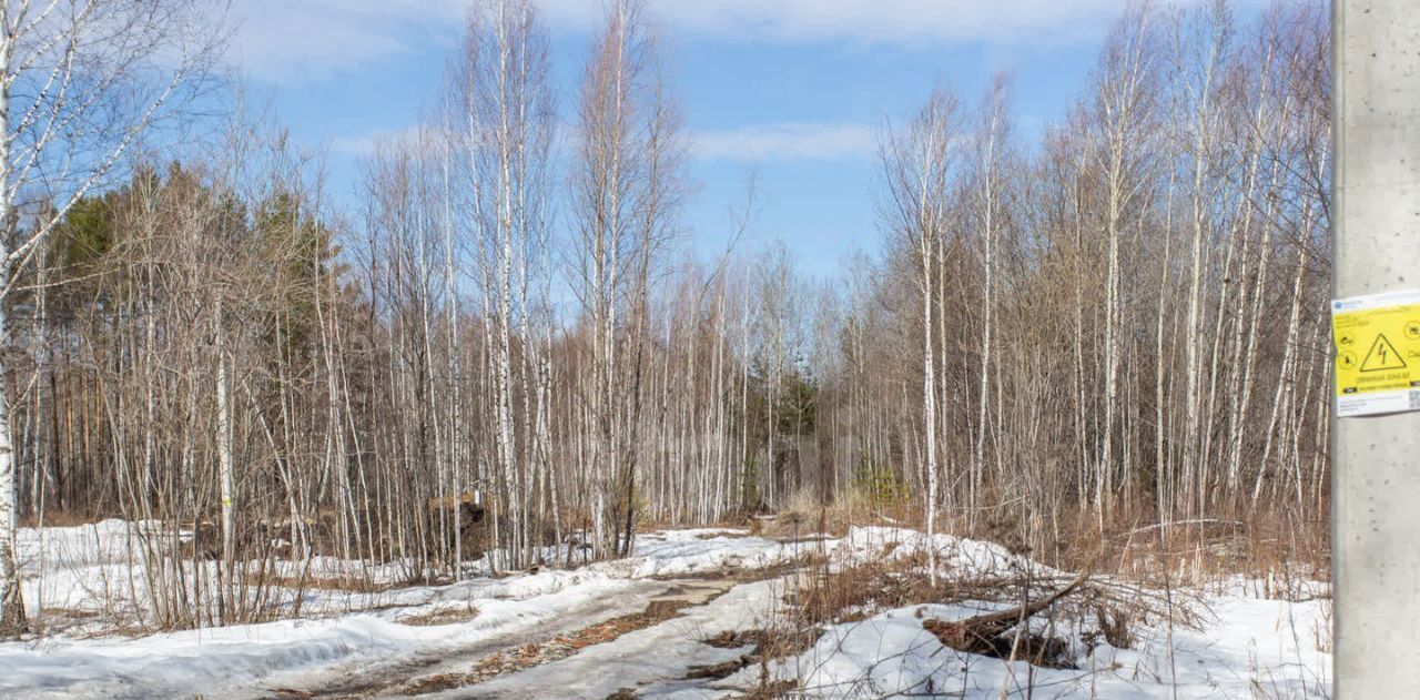 земля г Тобольск р-н мкр Усадьба ул Лесная фото 4