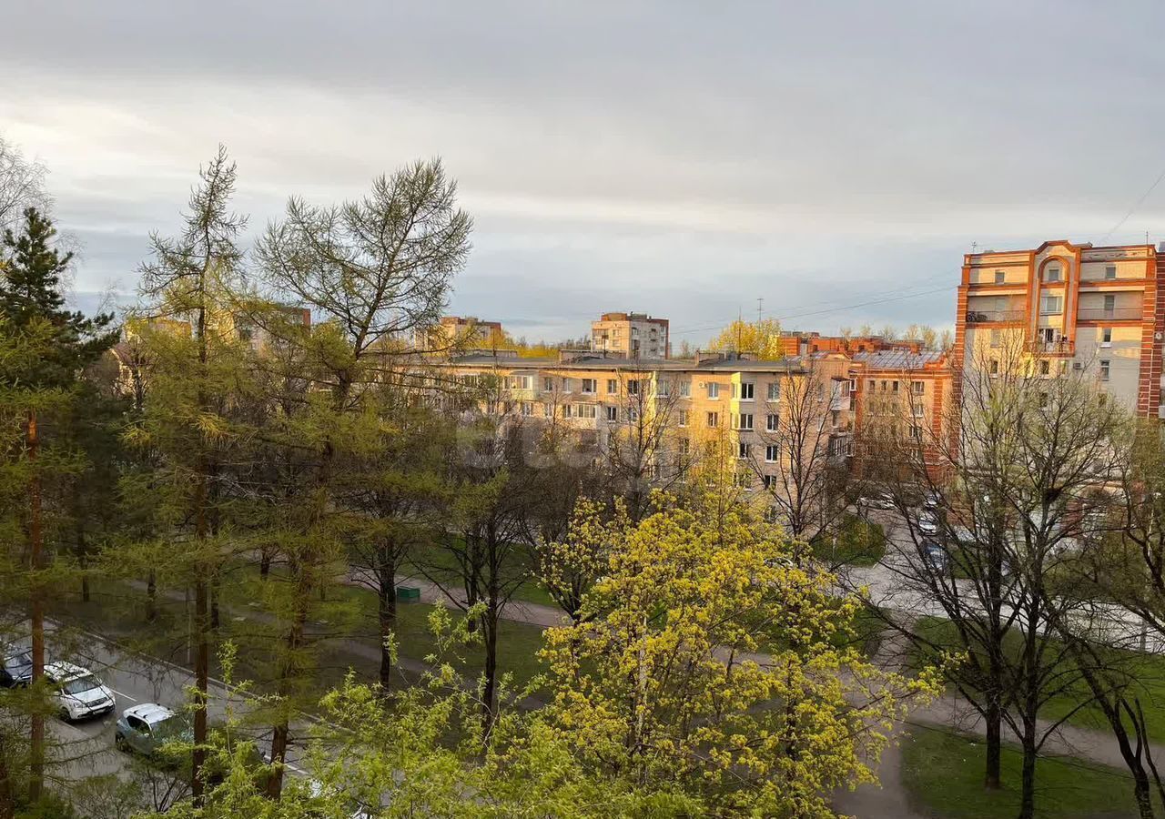 квартира г Пушкин б-р Алексея Толстого 28 р-н Пушкинский фото 3